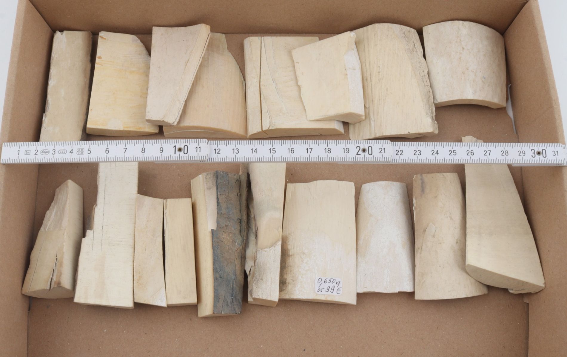 Untreated mammoth ivory pieces
