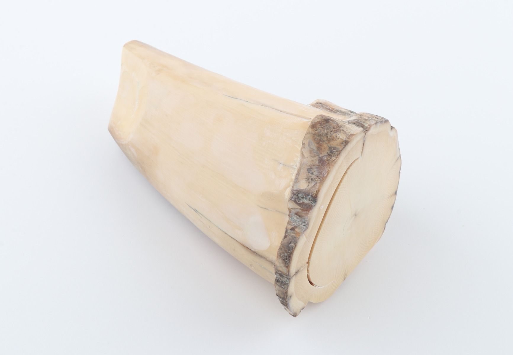 Round mammoth tusk piece