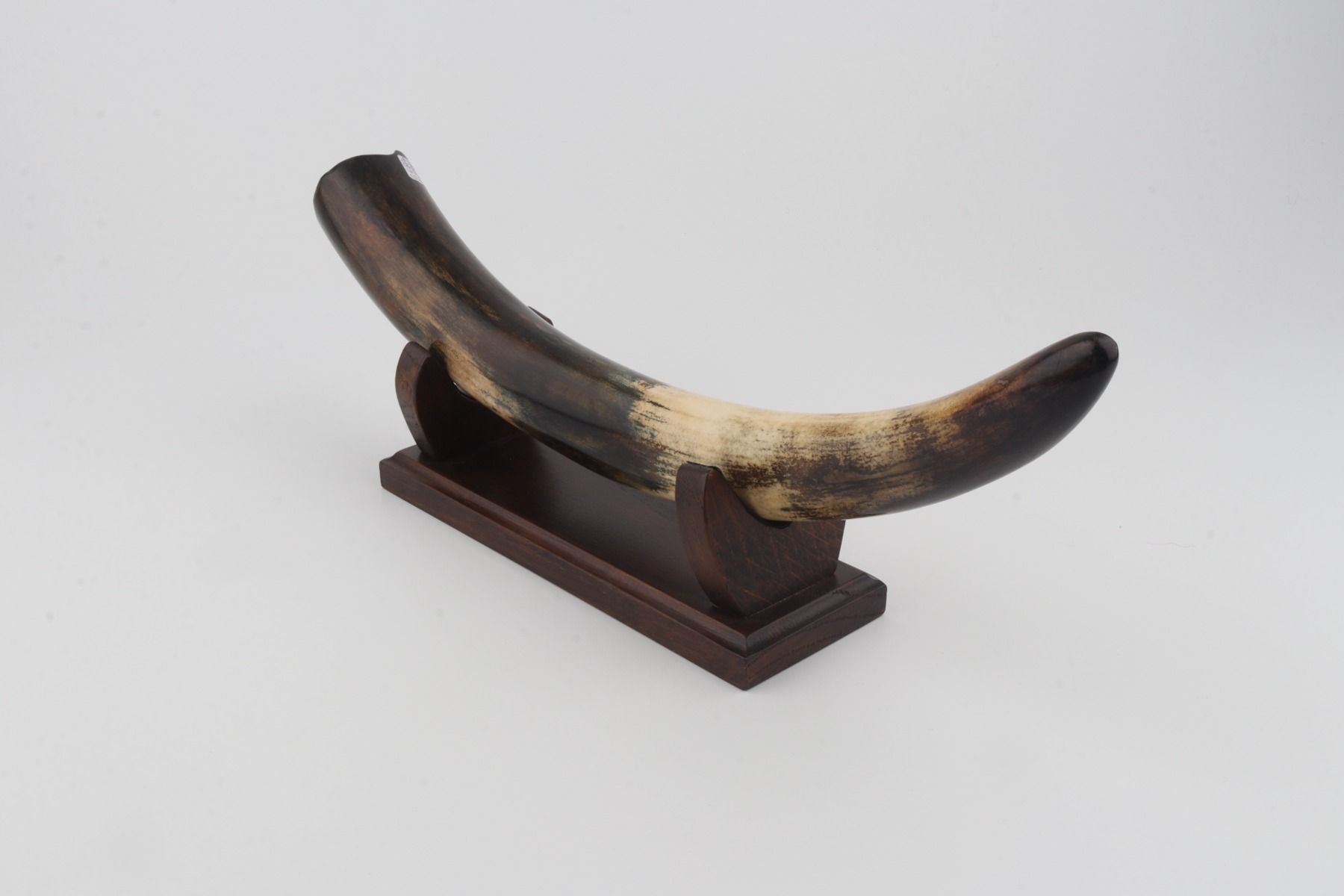 Restored woolly mammoth tusk