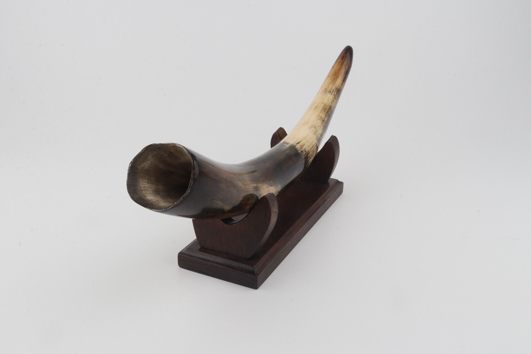 Restored woolly mammoth tusk