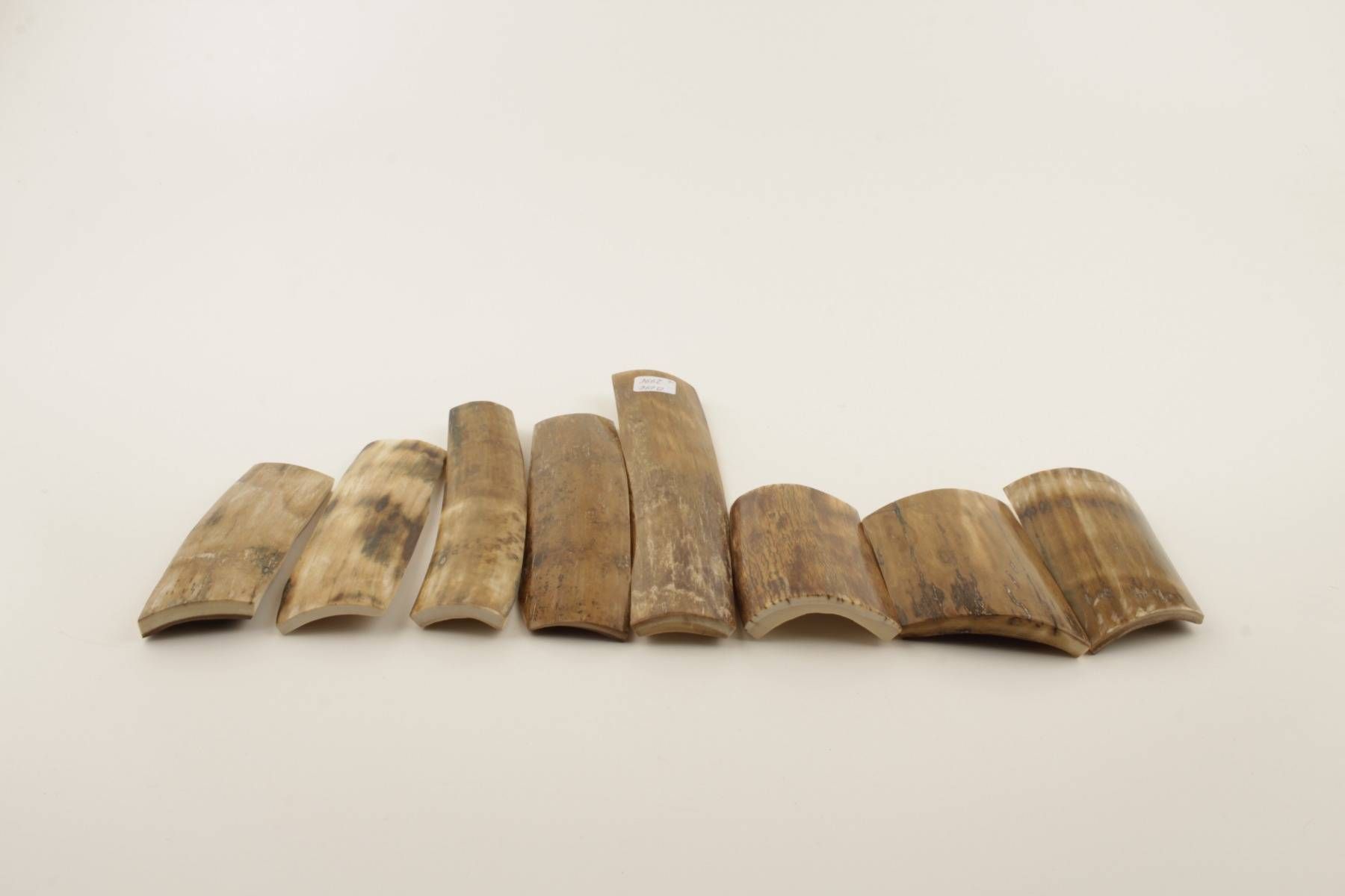 Beige-green mammoth bark pieces