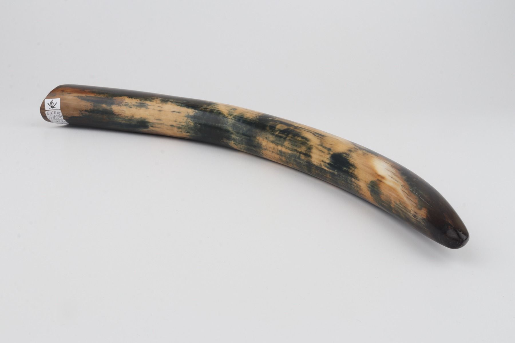 Restored mammoth tusk