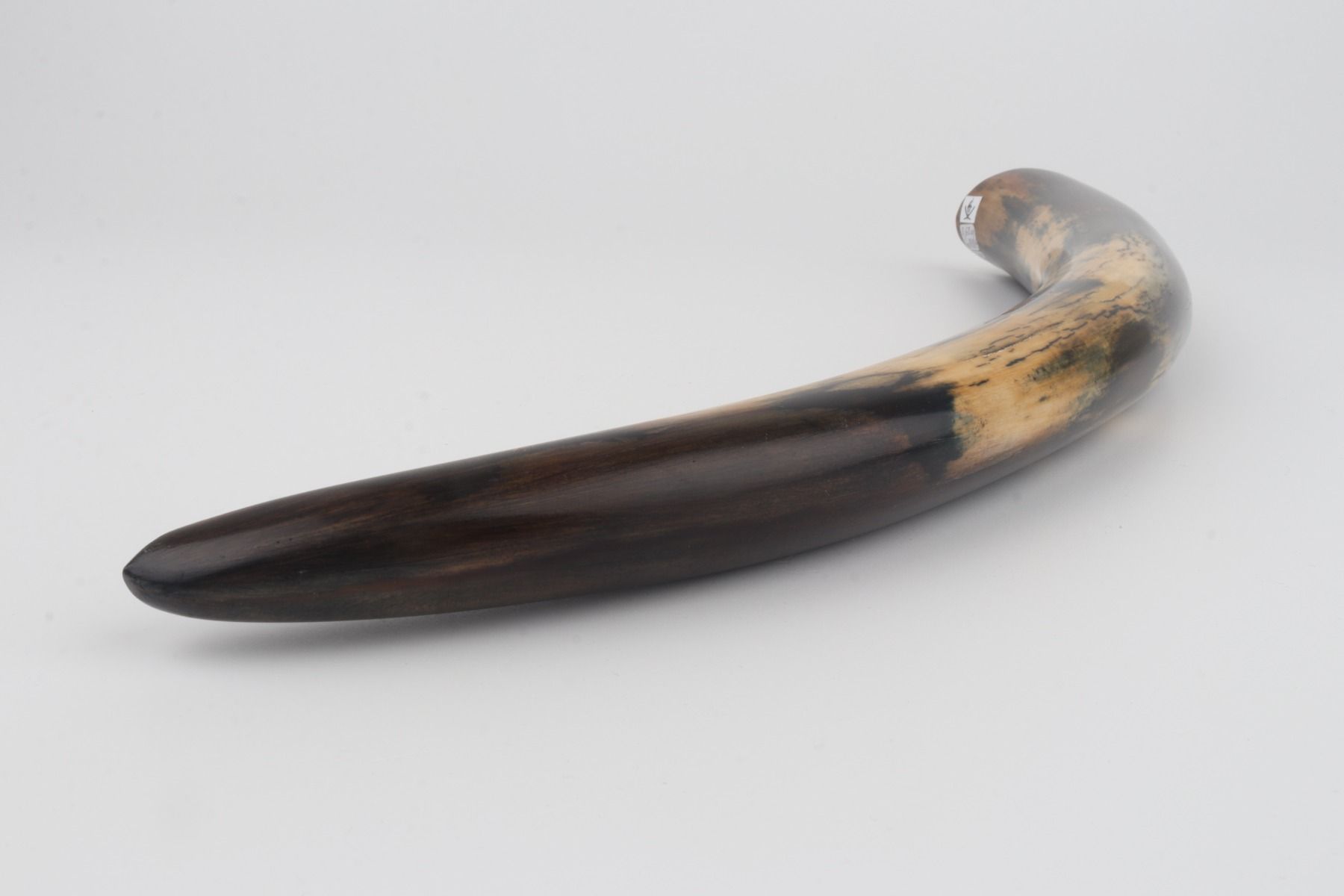Restored mammoth tusk