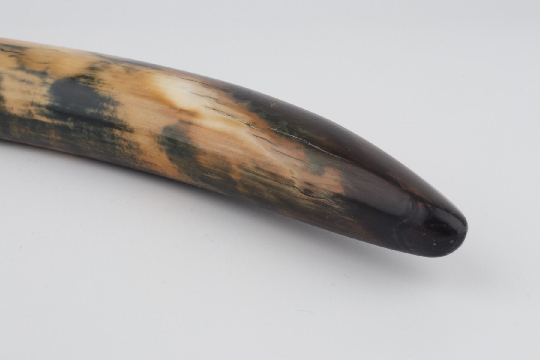 Restored mammoth tusk