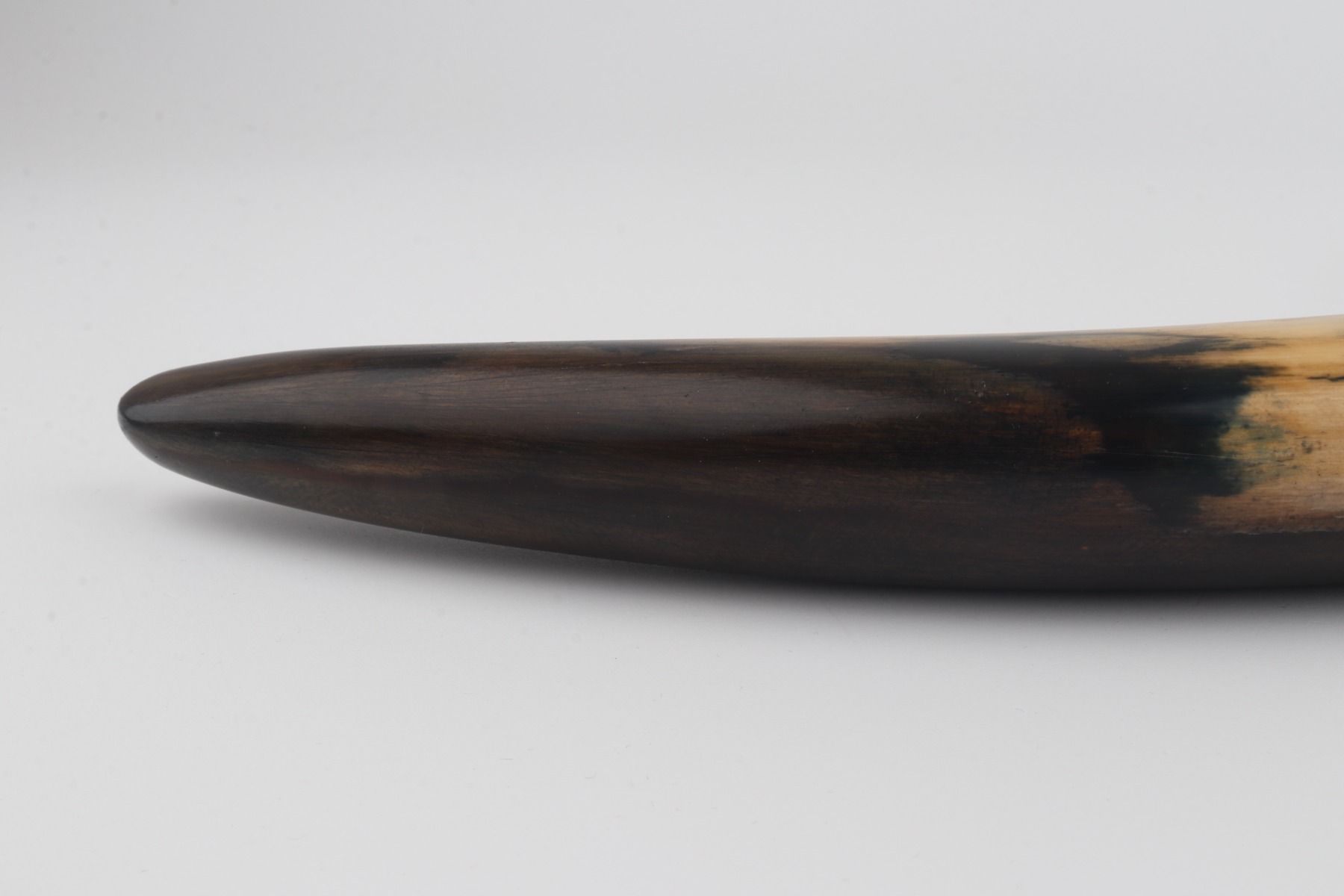 Restored mammoth tusk