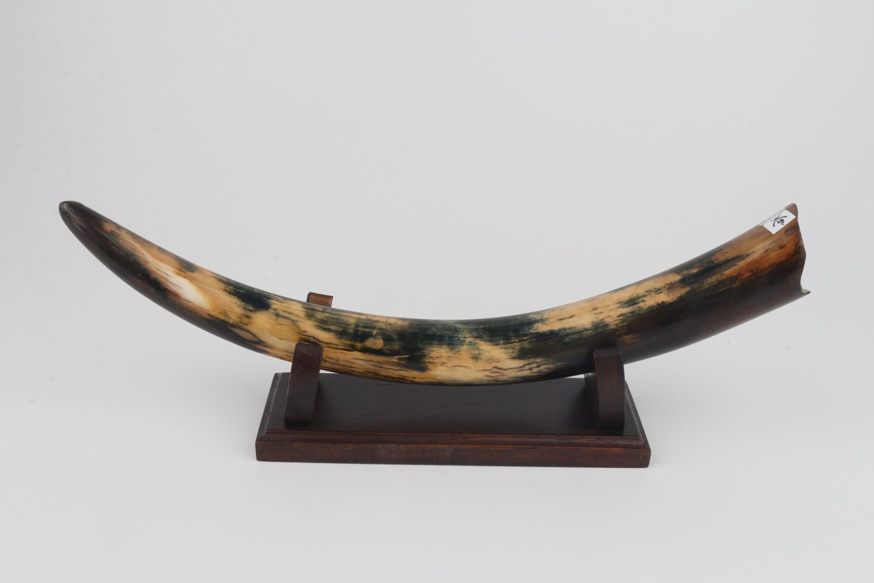 Restored mammoth tusk