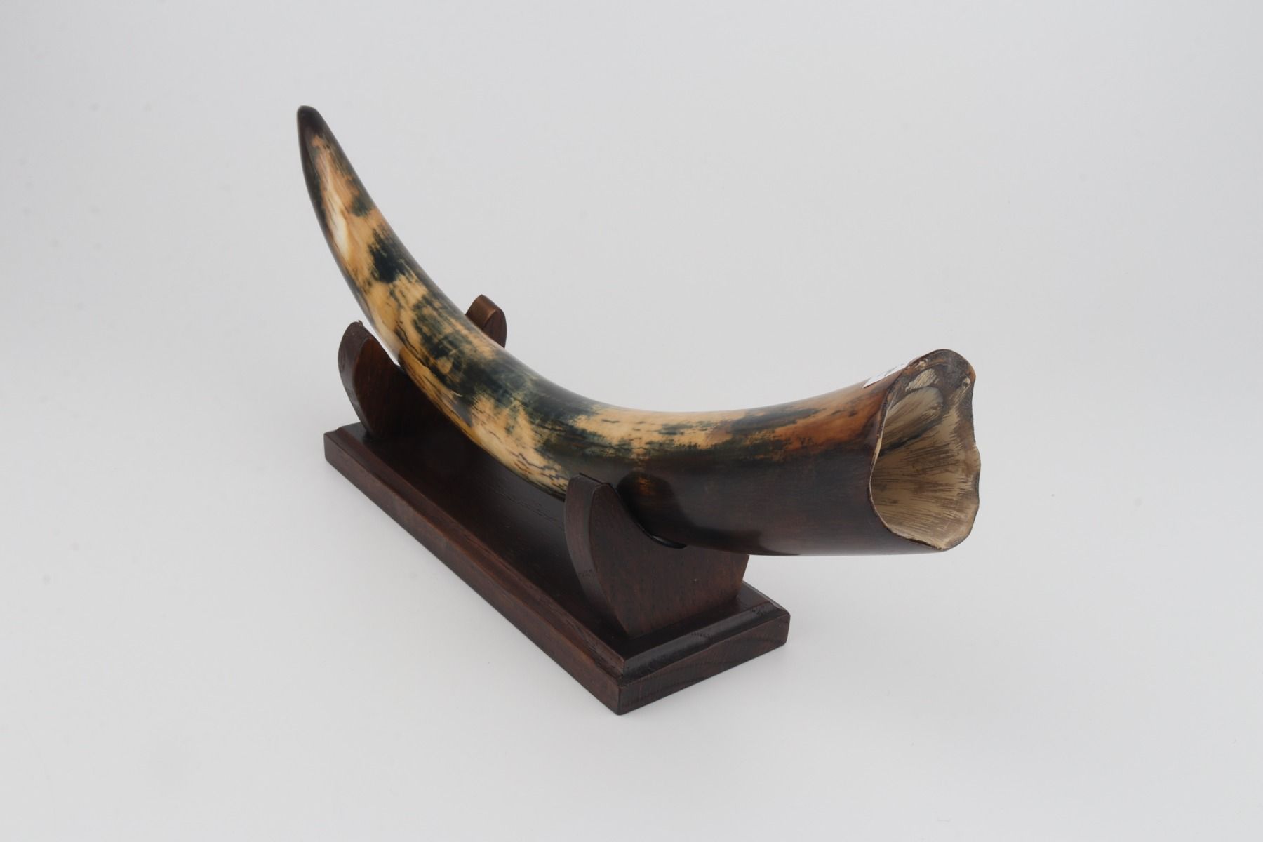 Restored mammoth tusk