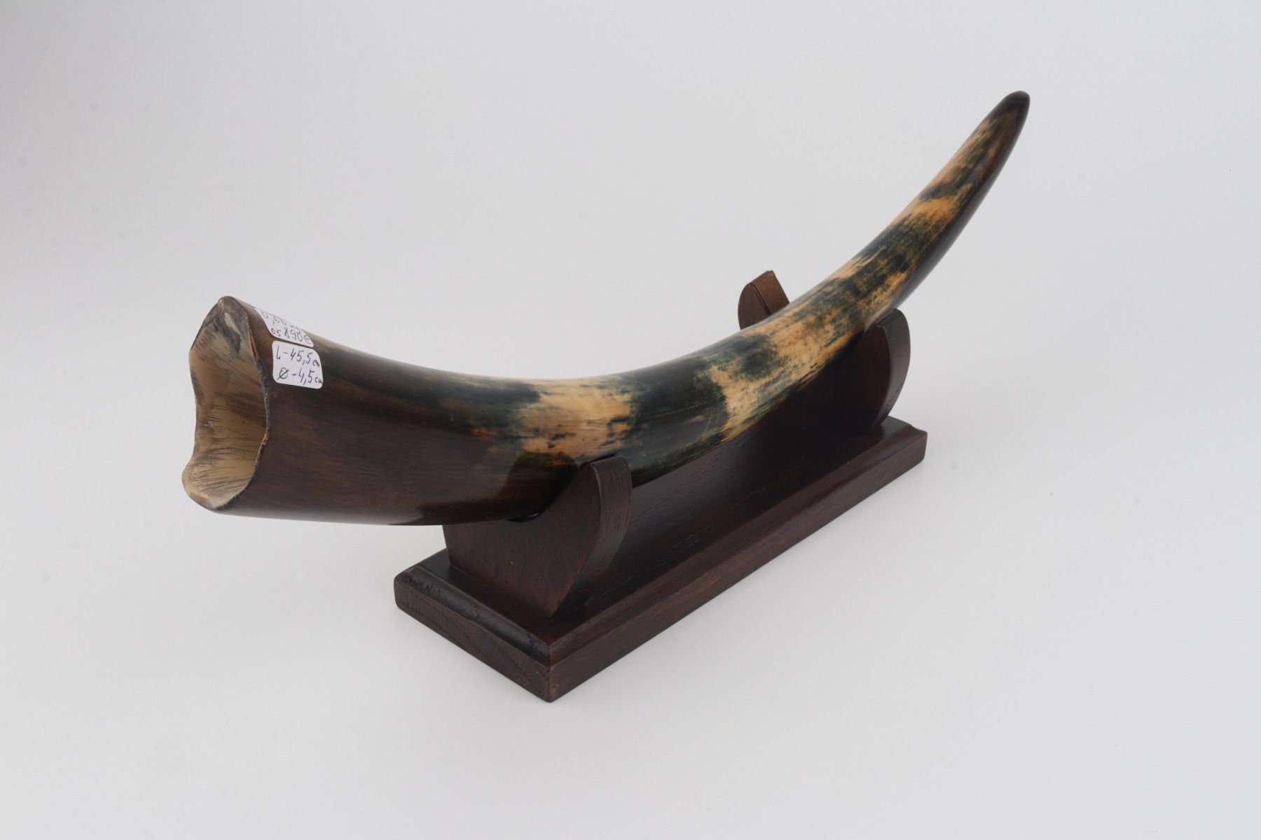 Restored mammoth tusk
