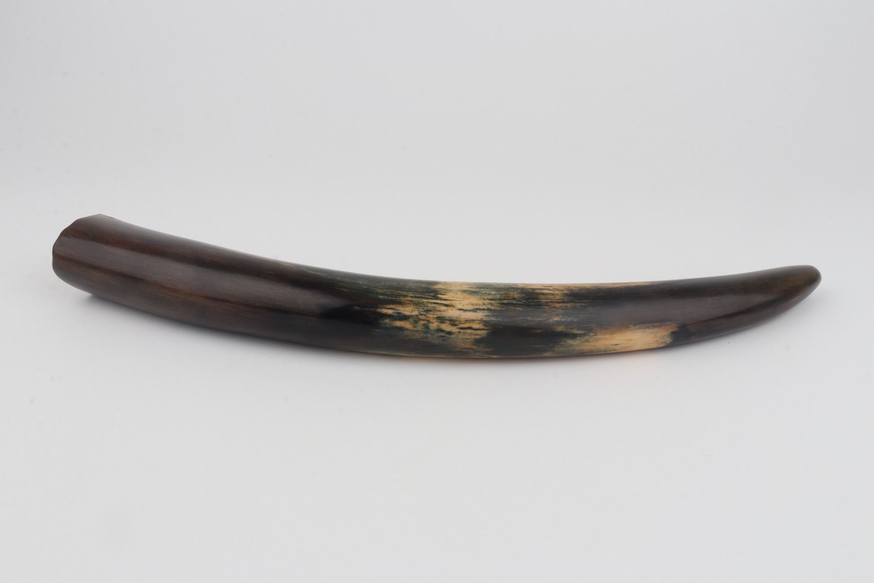 Restored mammoth tusk