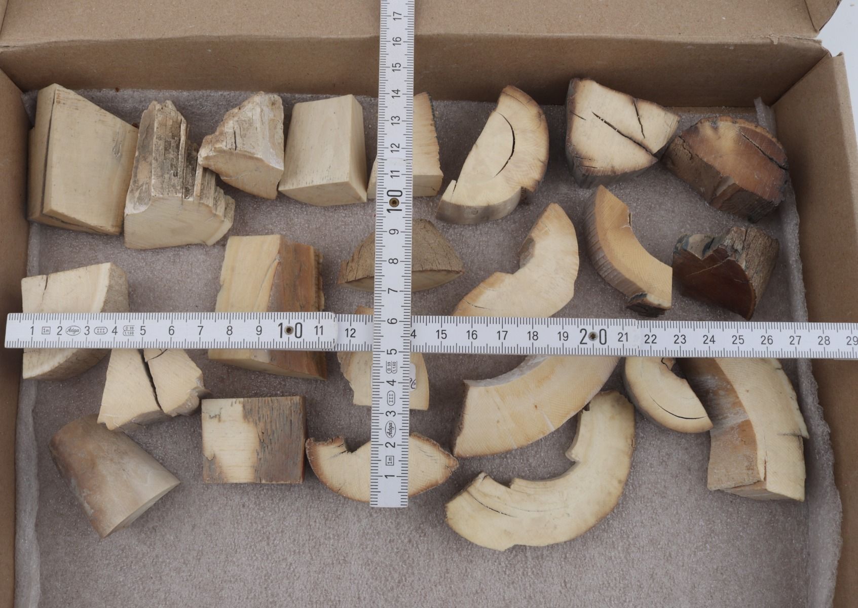 Raw mammoth ivory pieces
