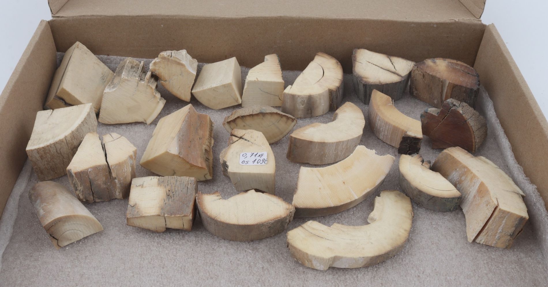 Raw mammoth ivory pieces