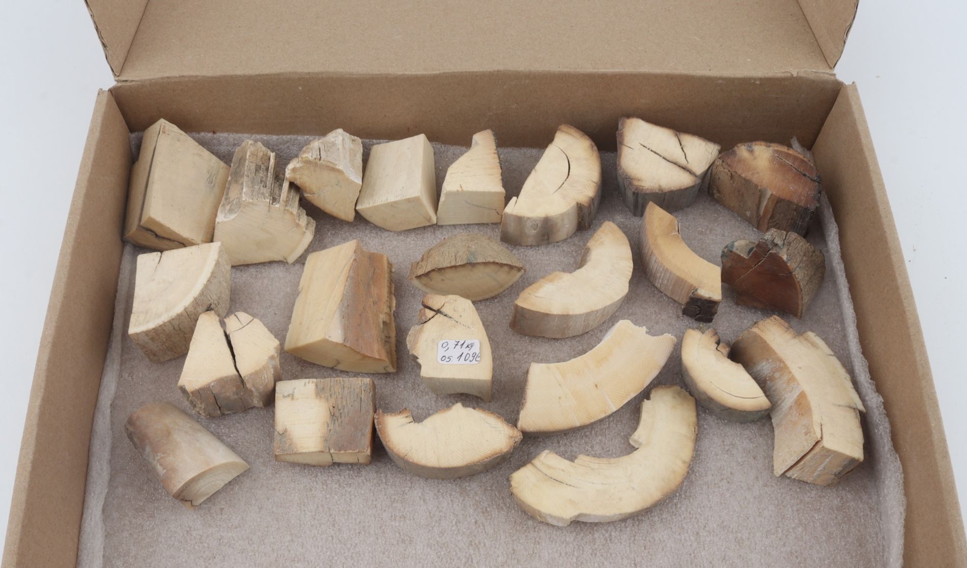 Raw mammoth ivory pieces