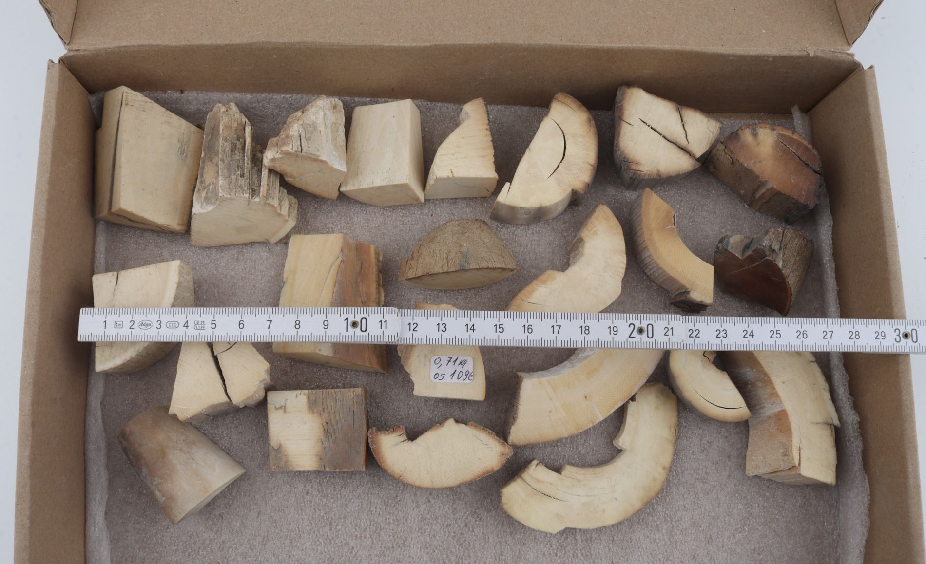 Raw mammoth ivory pieces
