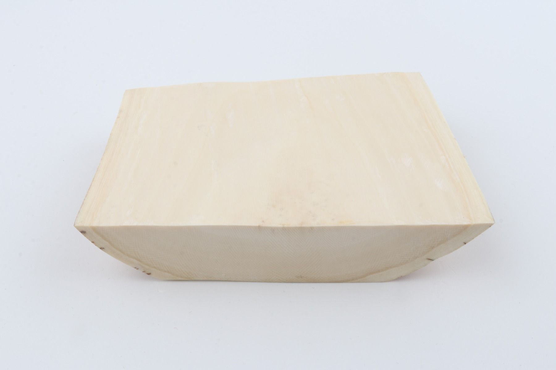 White mammoth ivory segment