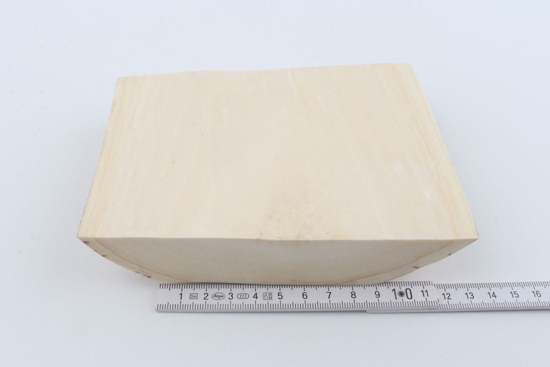 White mammoth ivory segment