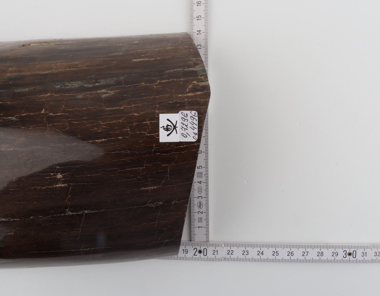 Brown mammoth bark