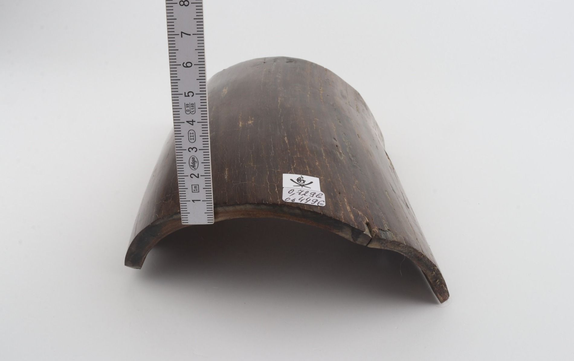 Brown mammoth bark