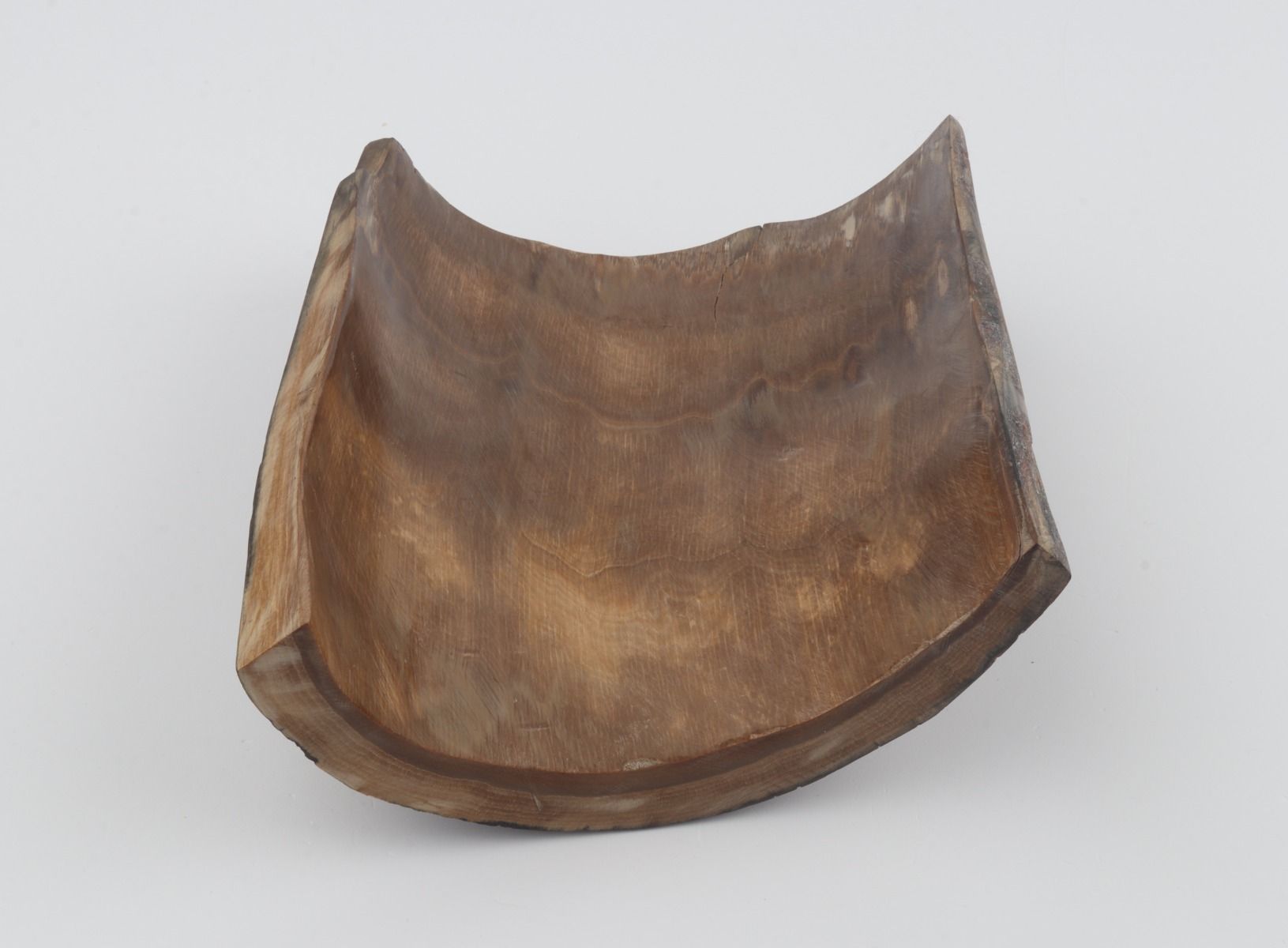 Brown mammoth bark
