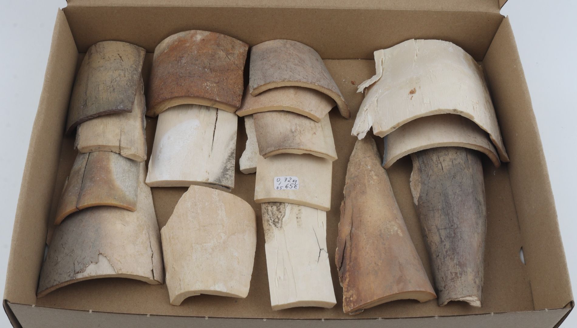 Untreated mammoth ivory pieces
