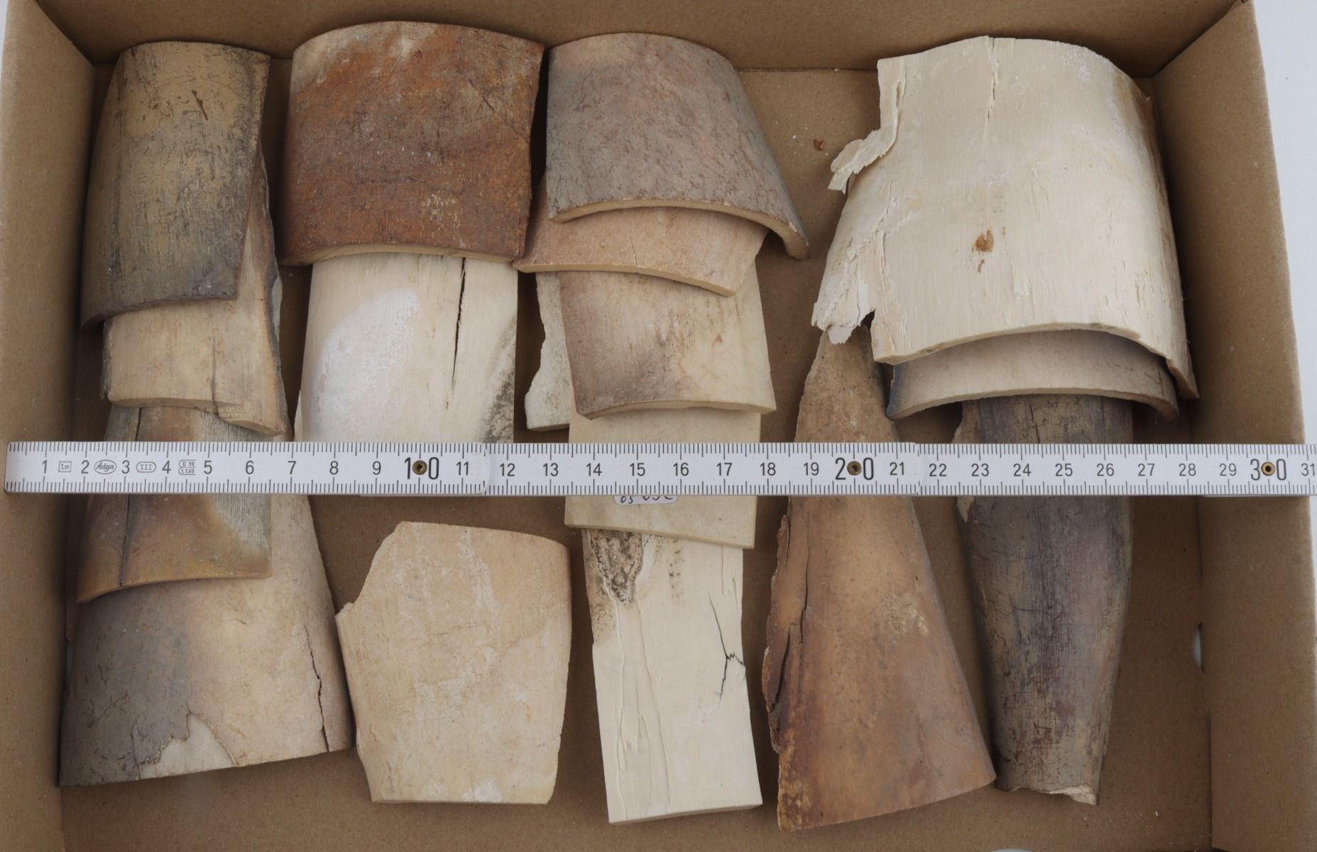 Untreated mammoth ivory pieces