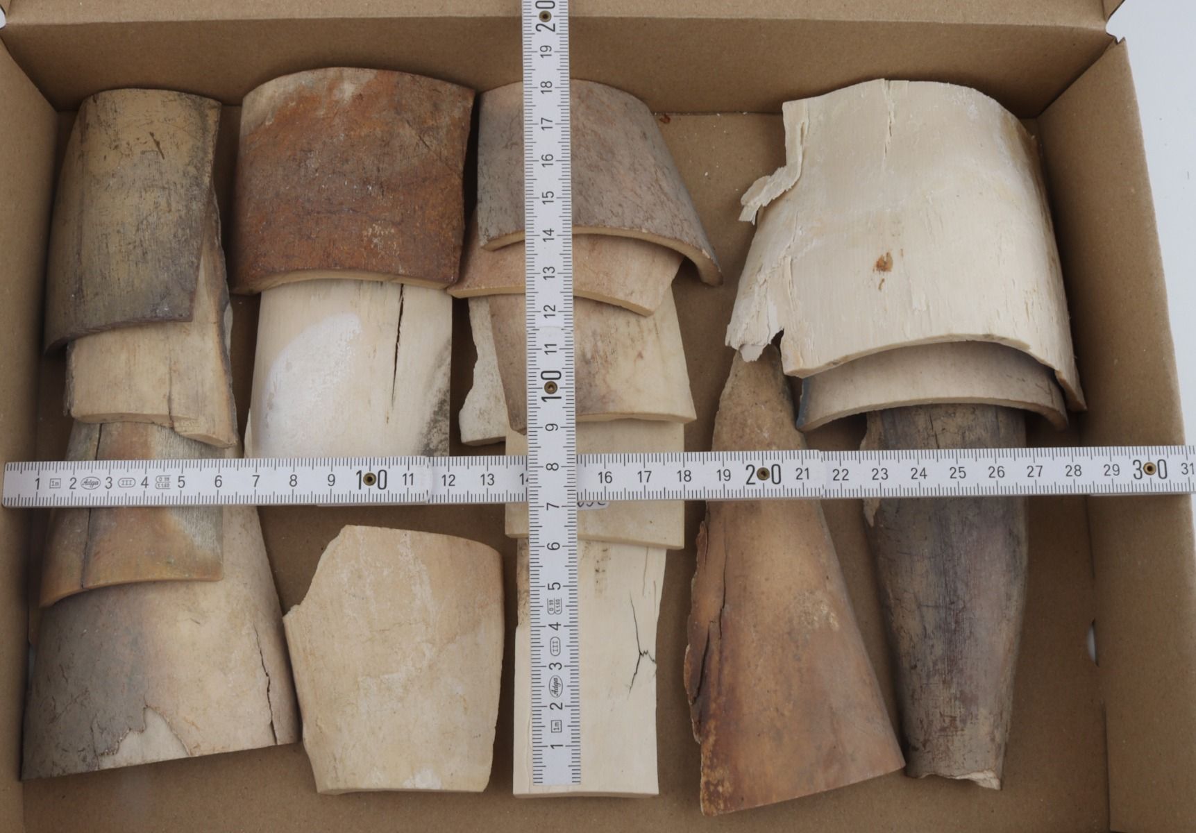 Untreated mammoth ivory pieces