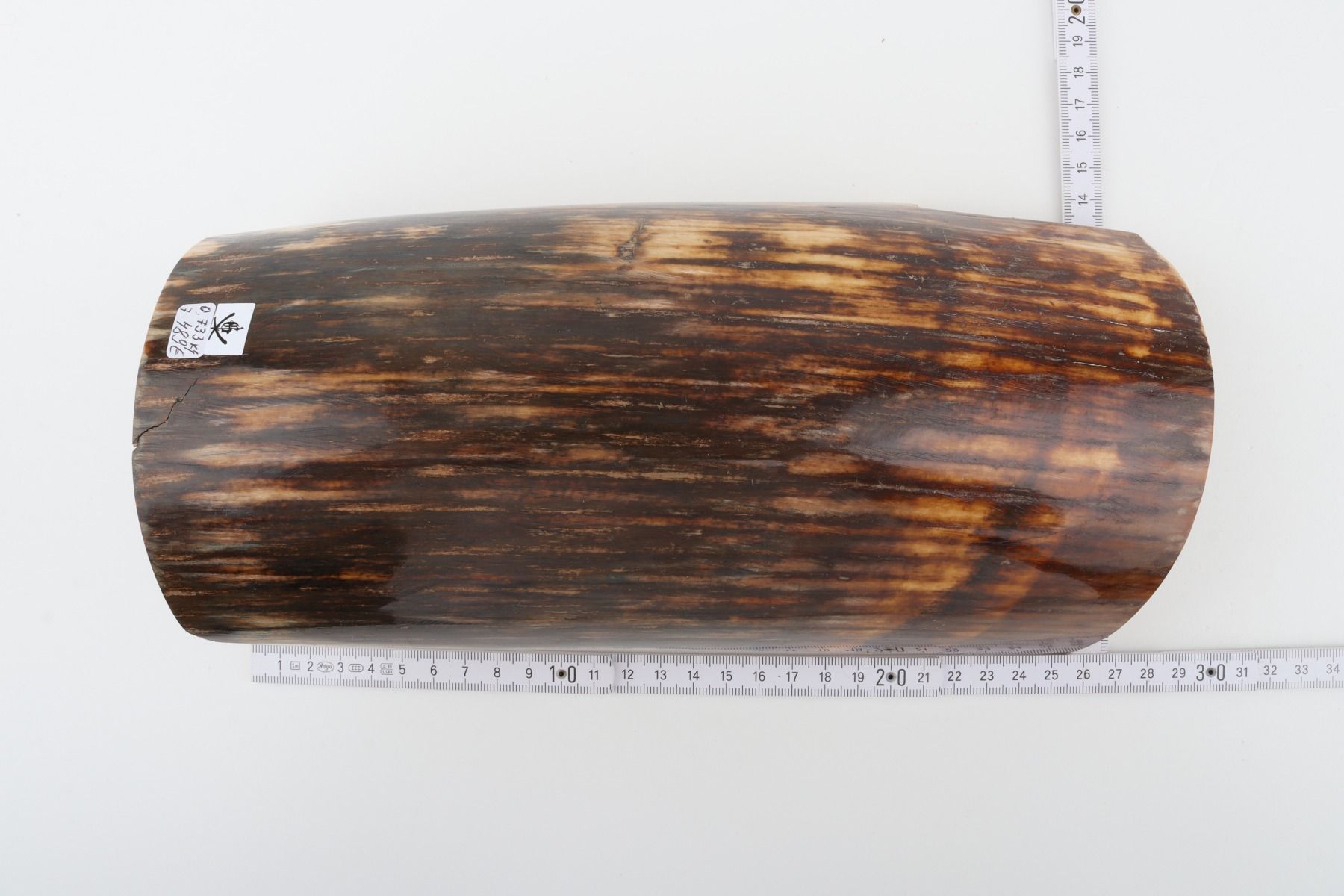 Brown mammoth bark
