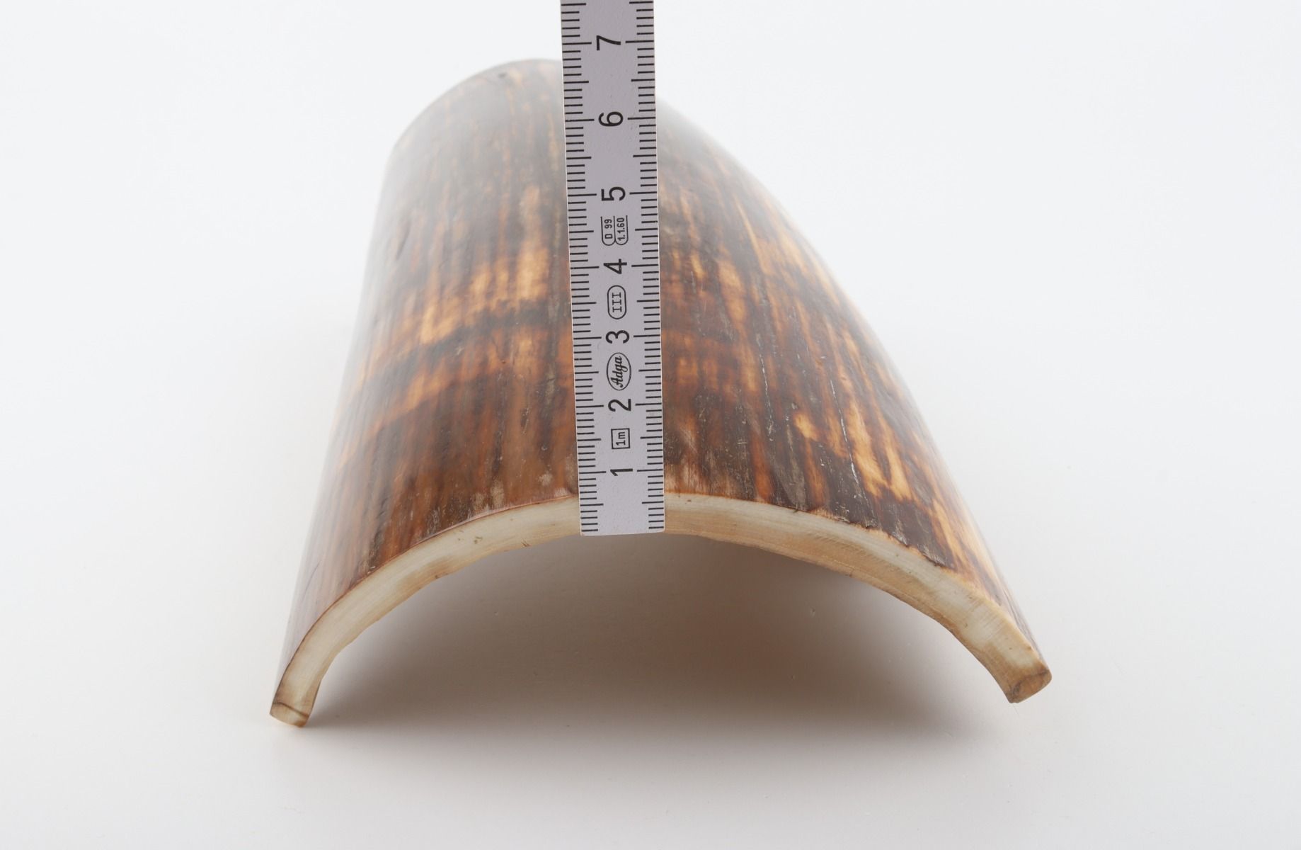 Brown mammoth bark