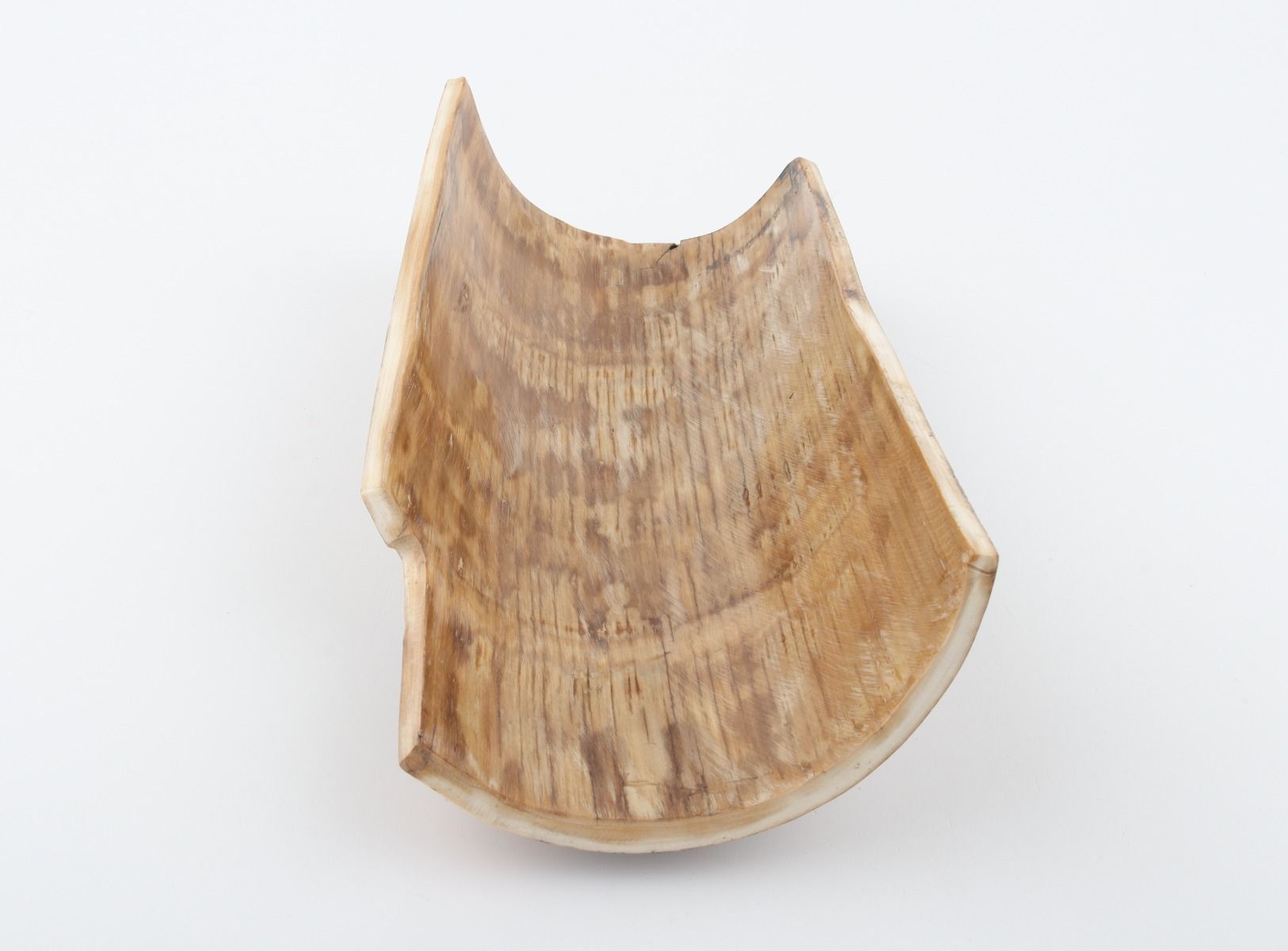 Brown mammoth bark