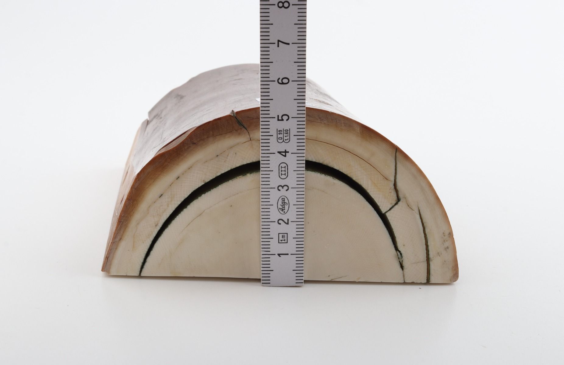 Natural mammoth ivory piece