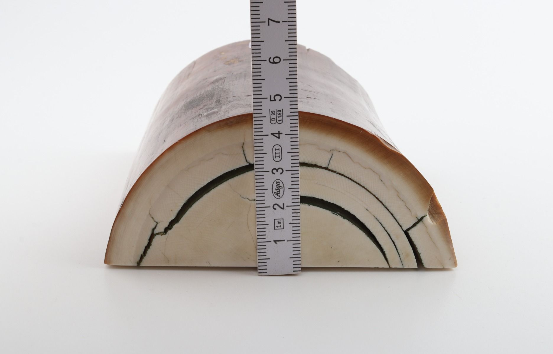 Natural mammoth ivory piece