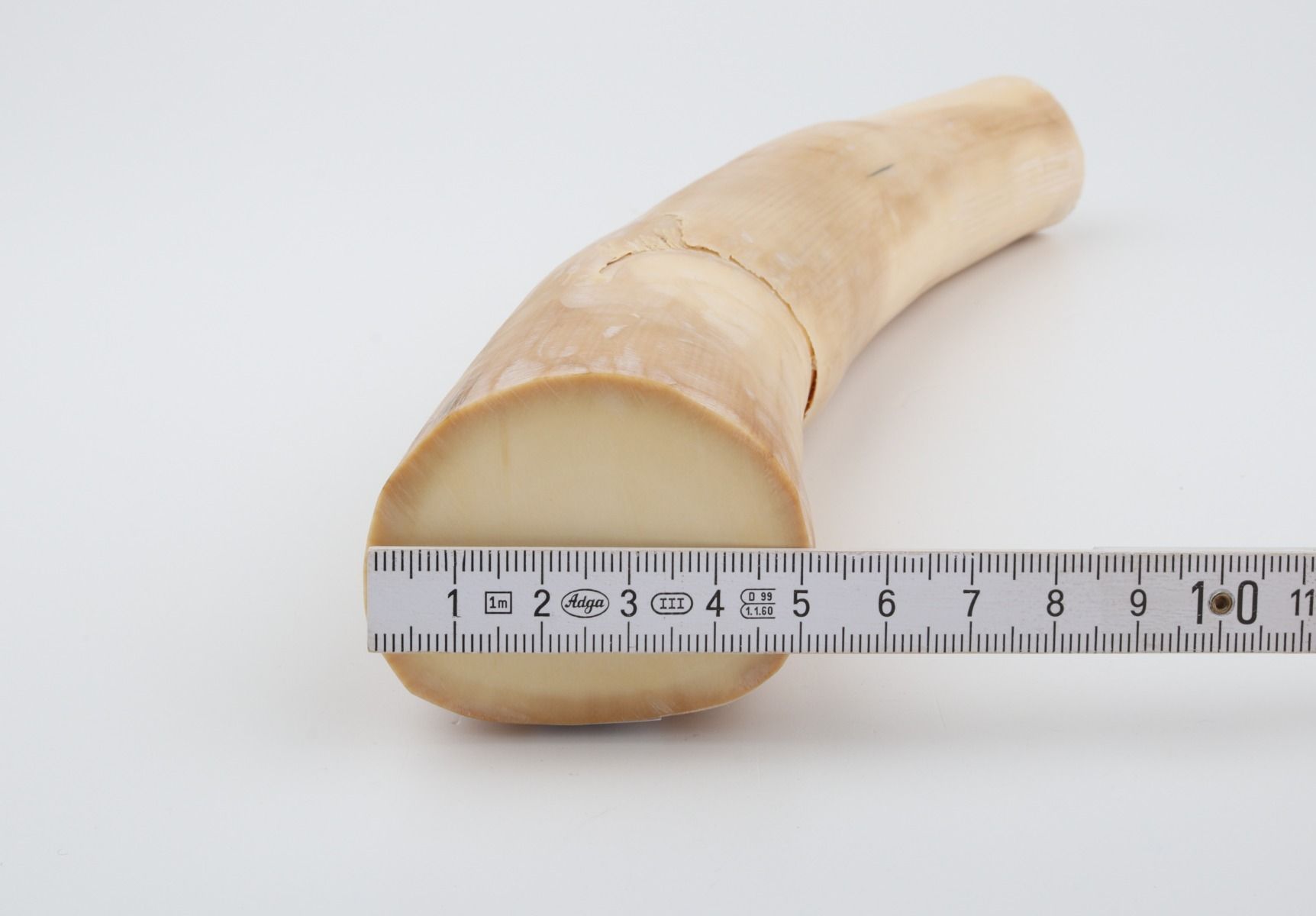 Natural mammoth ivory piece