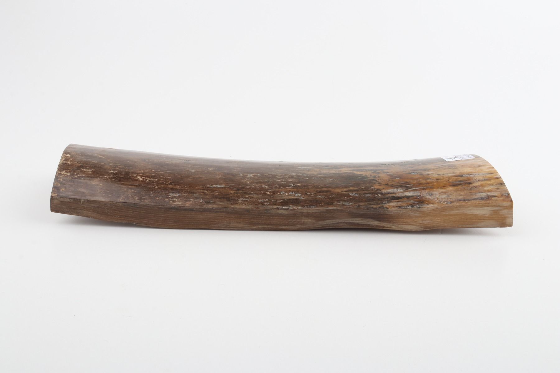 Brown mammoth bark