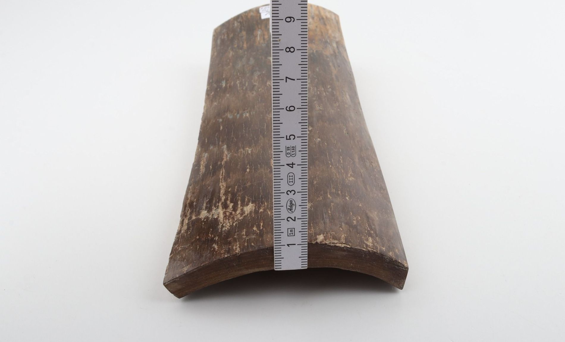 Brown mammoth bark