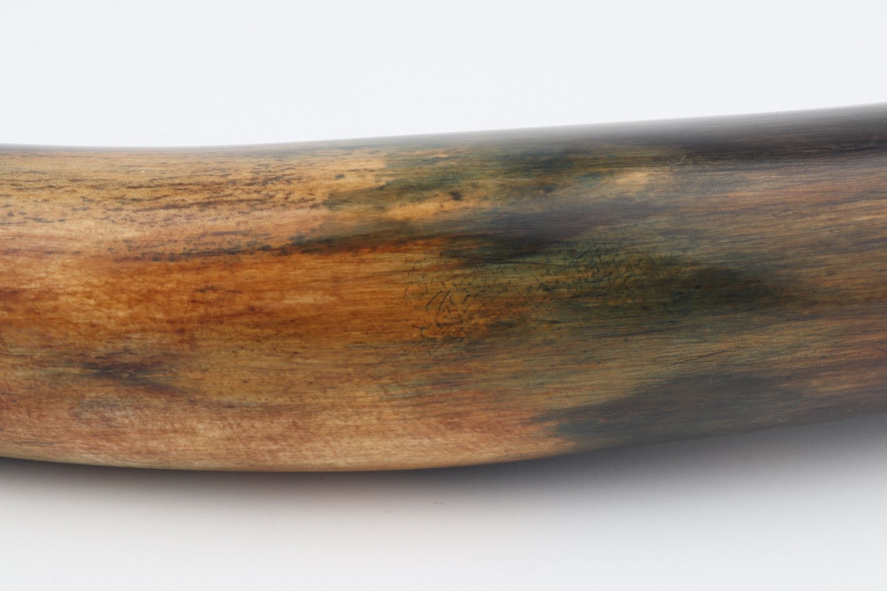 Restored mammoth tusk