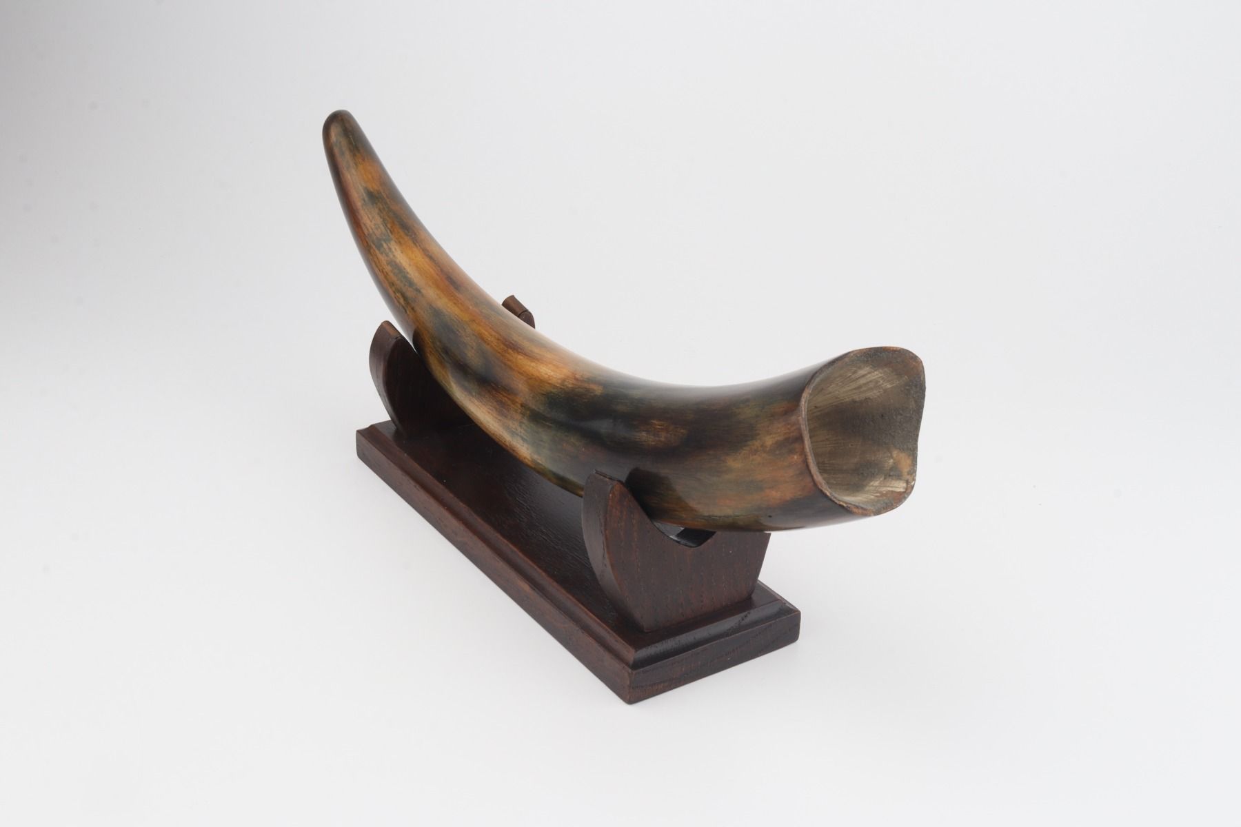 Restored mammoth tusk