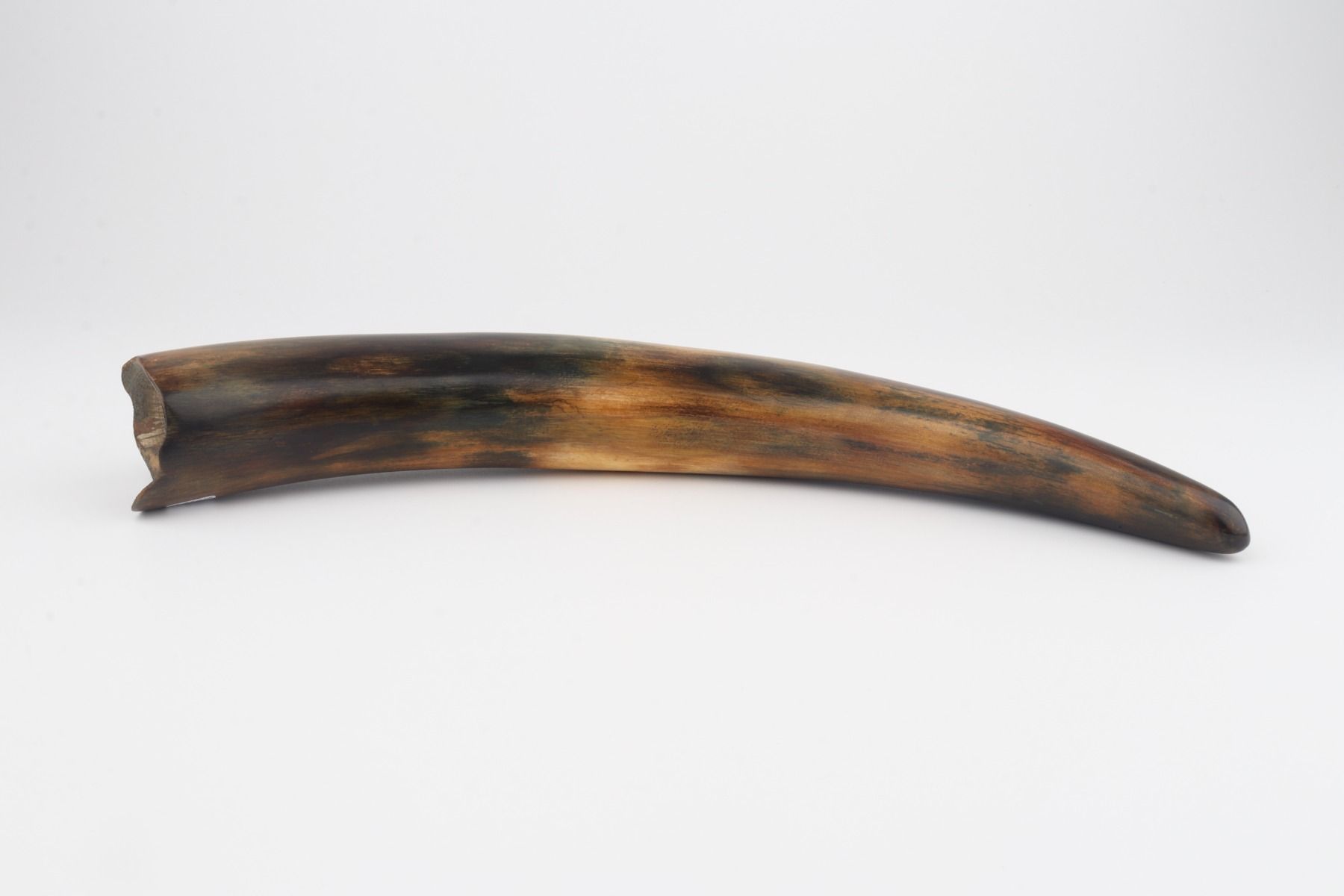 Restored mammoth tusk