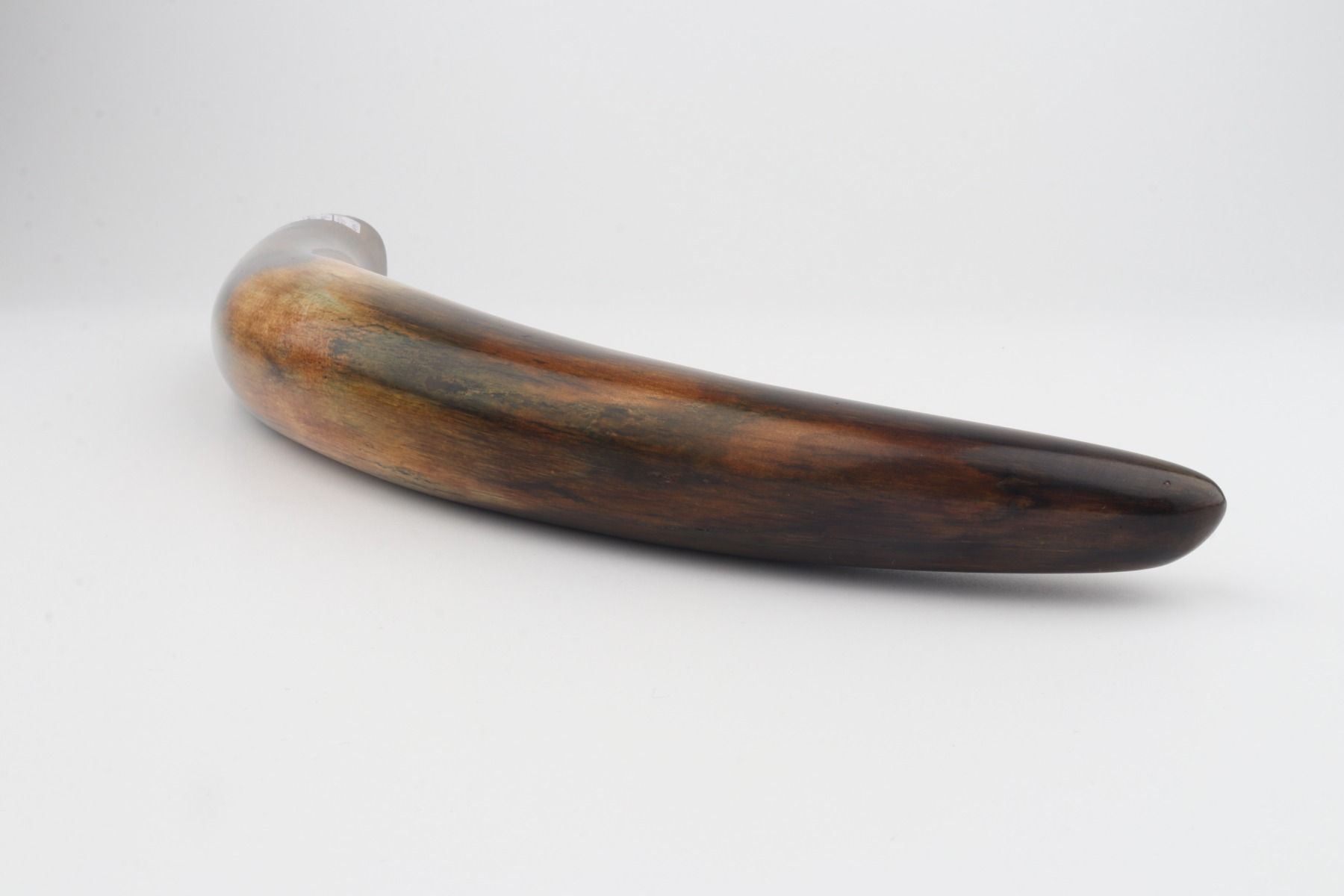 Restored mammoth tusk