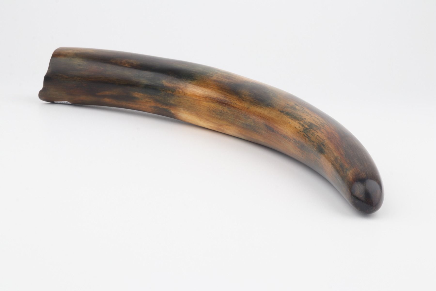 Restored mammoth tusk