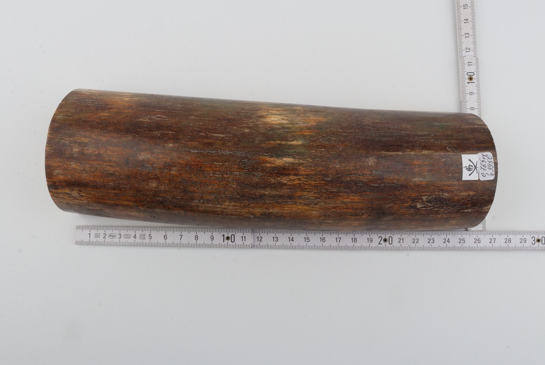 Natural woolly mammoth bark