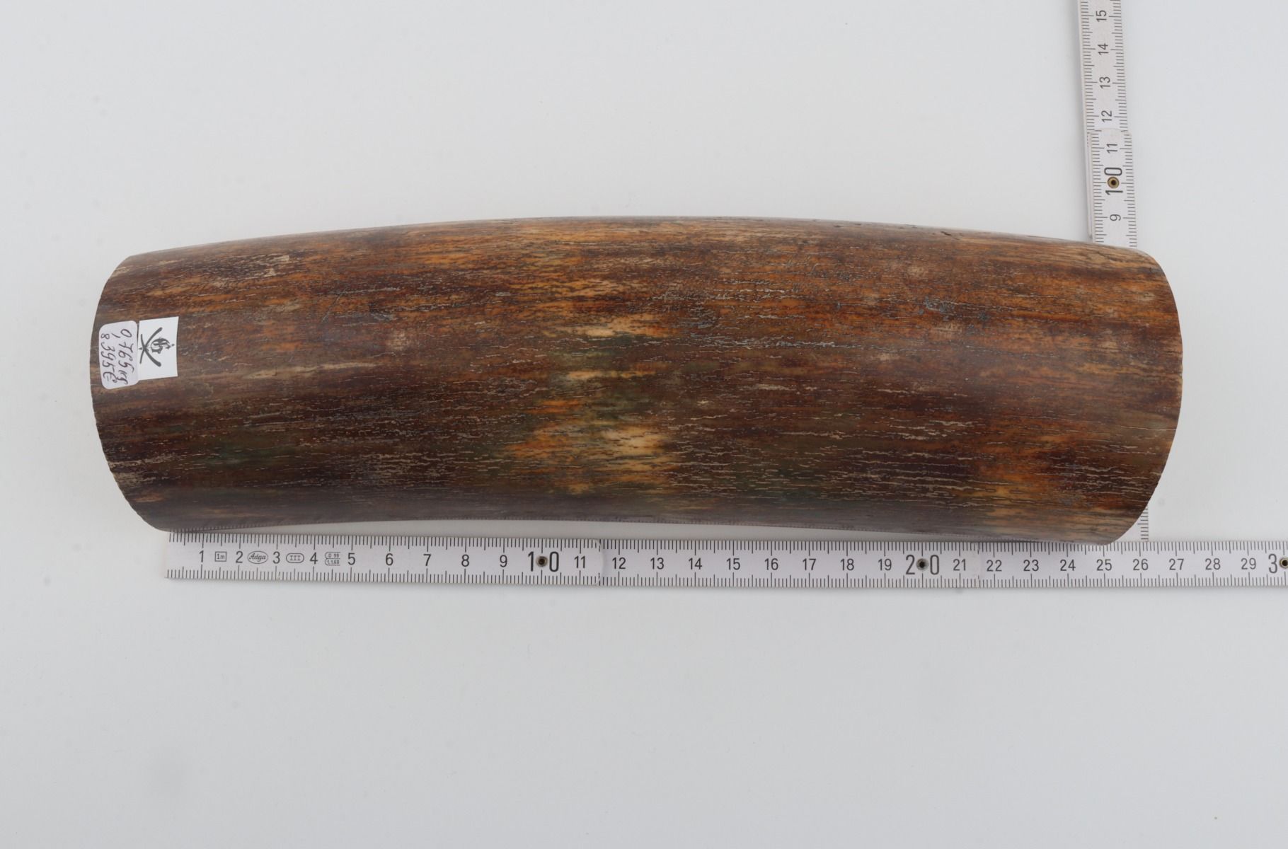 Natural woolly mammoth bark
