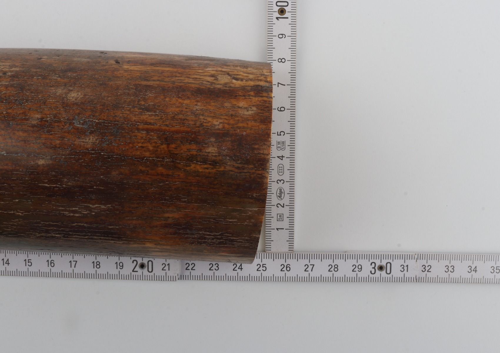 Natural woolly mammoth bark