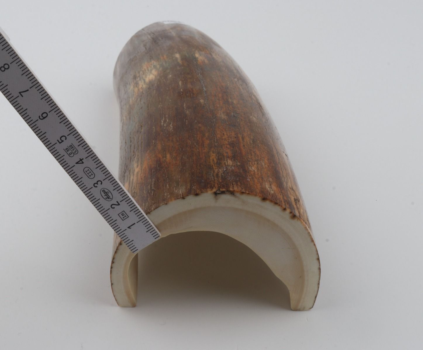 Natural woolly mammoth bark