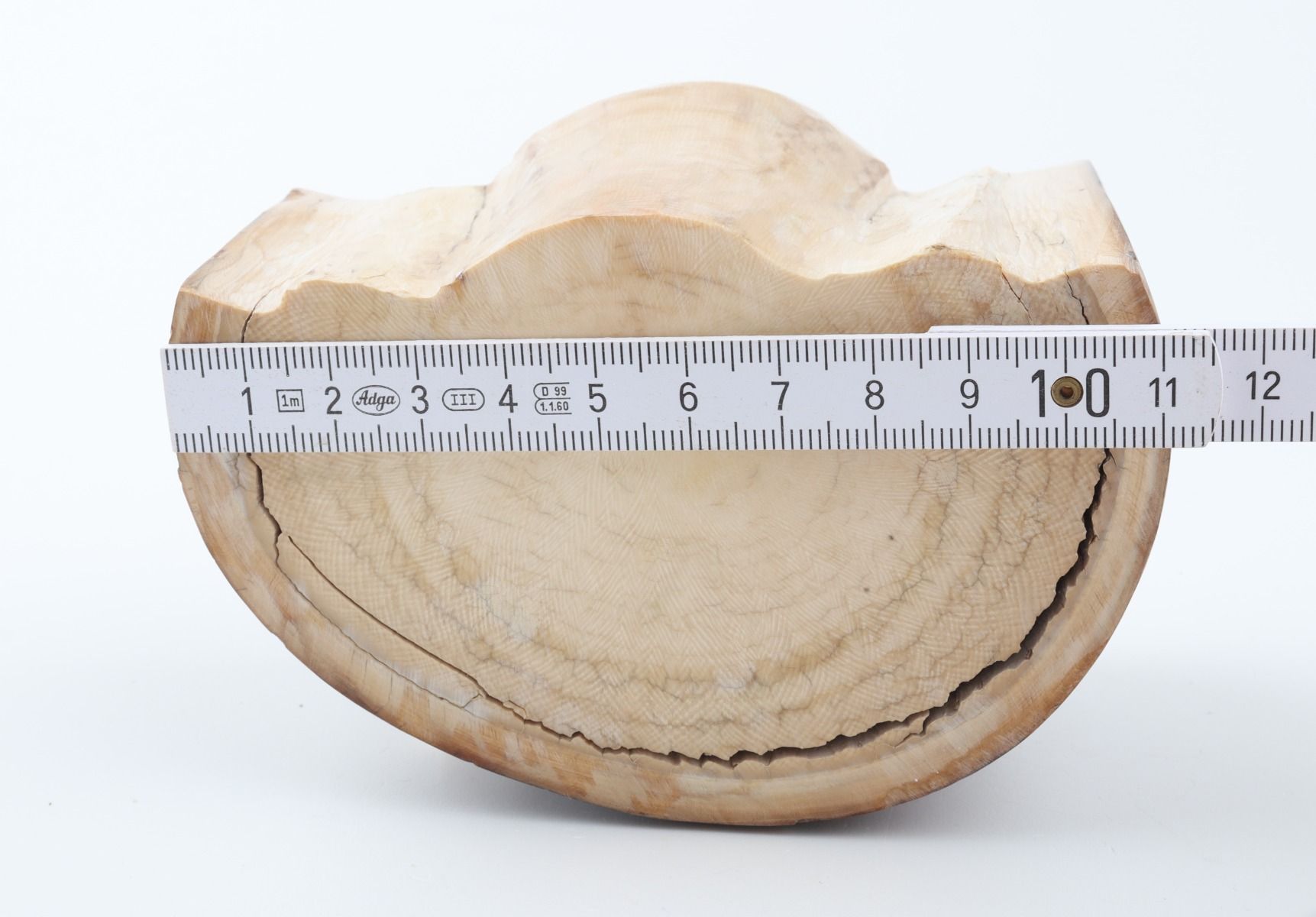 Natural mammoth ivory piece