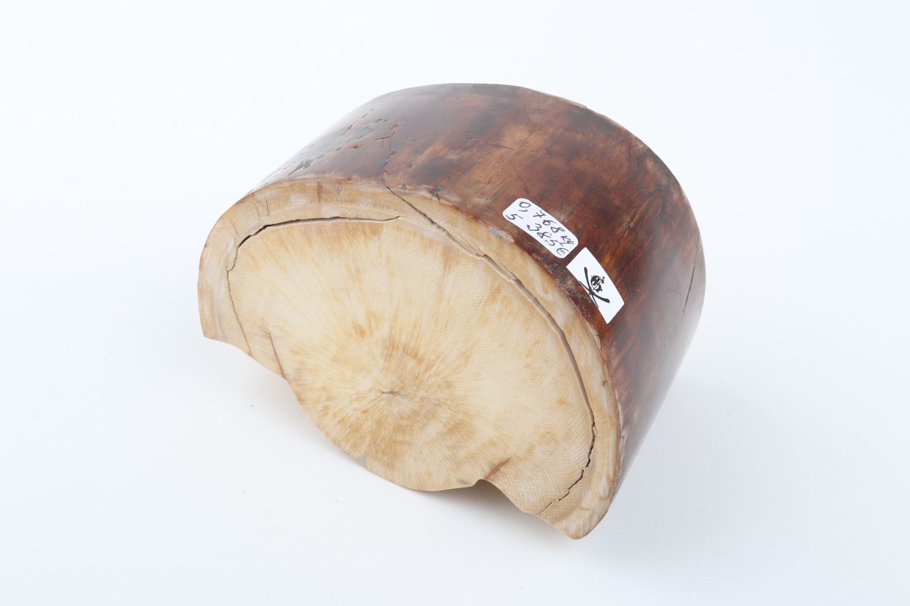 Natural mammoth ivory piece