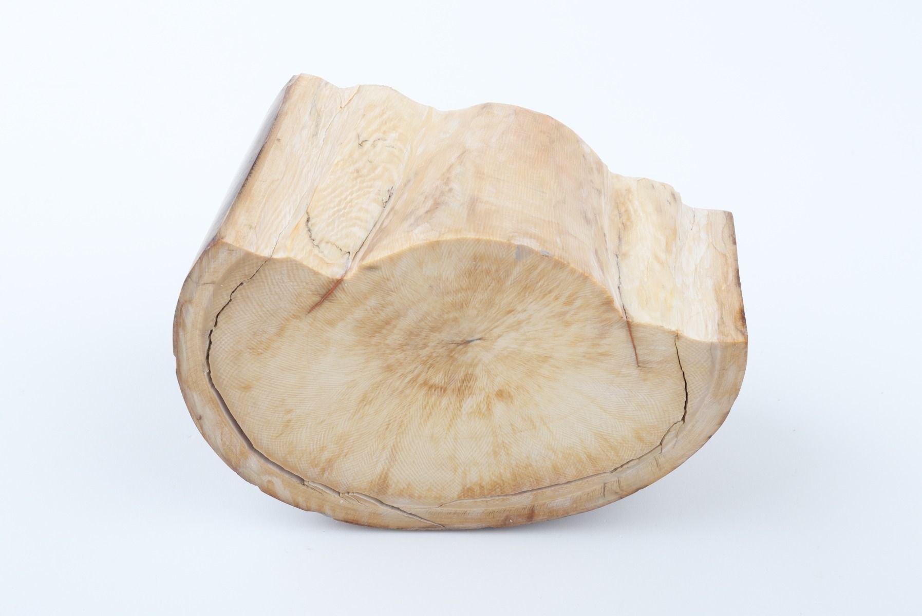 Natural mammoth ivory piece