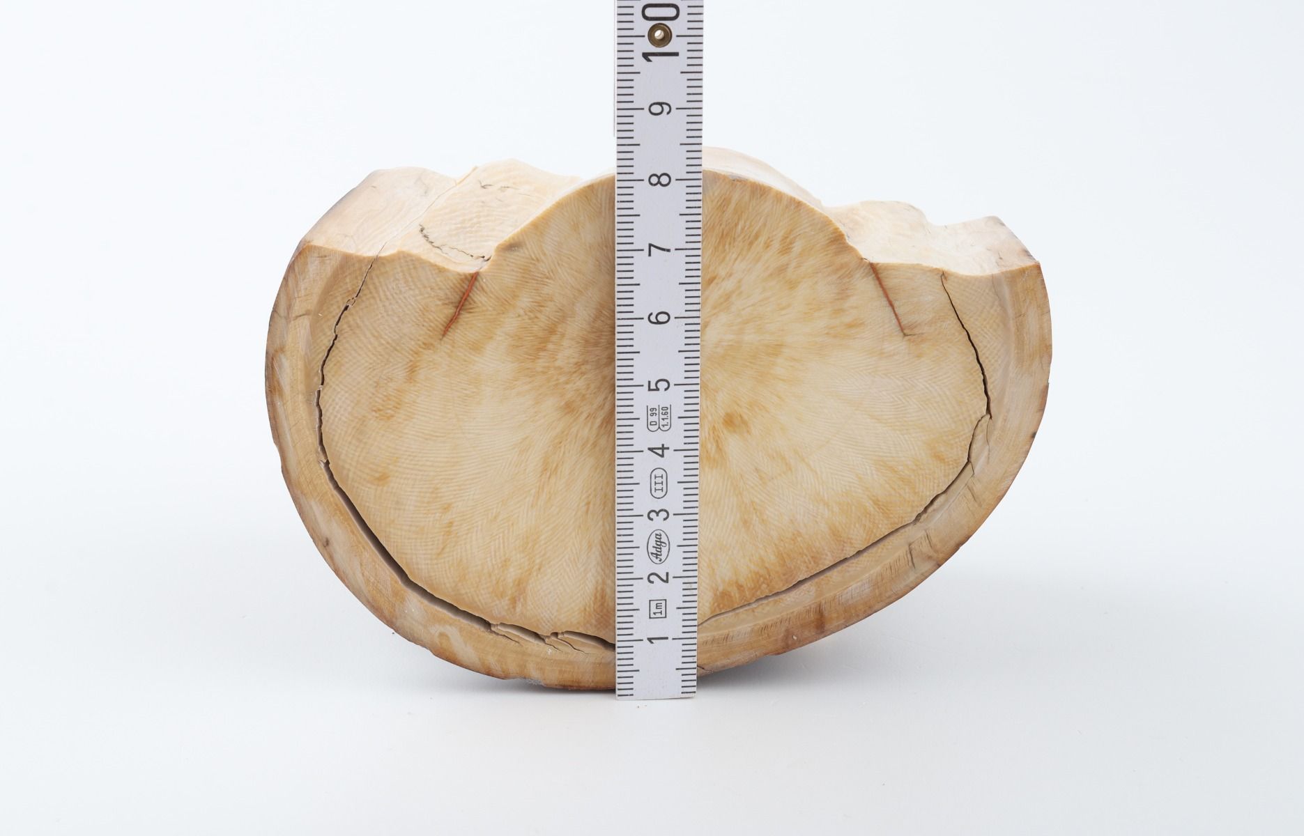 Natural mammoth ivory piece