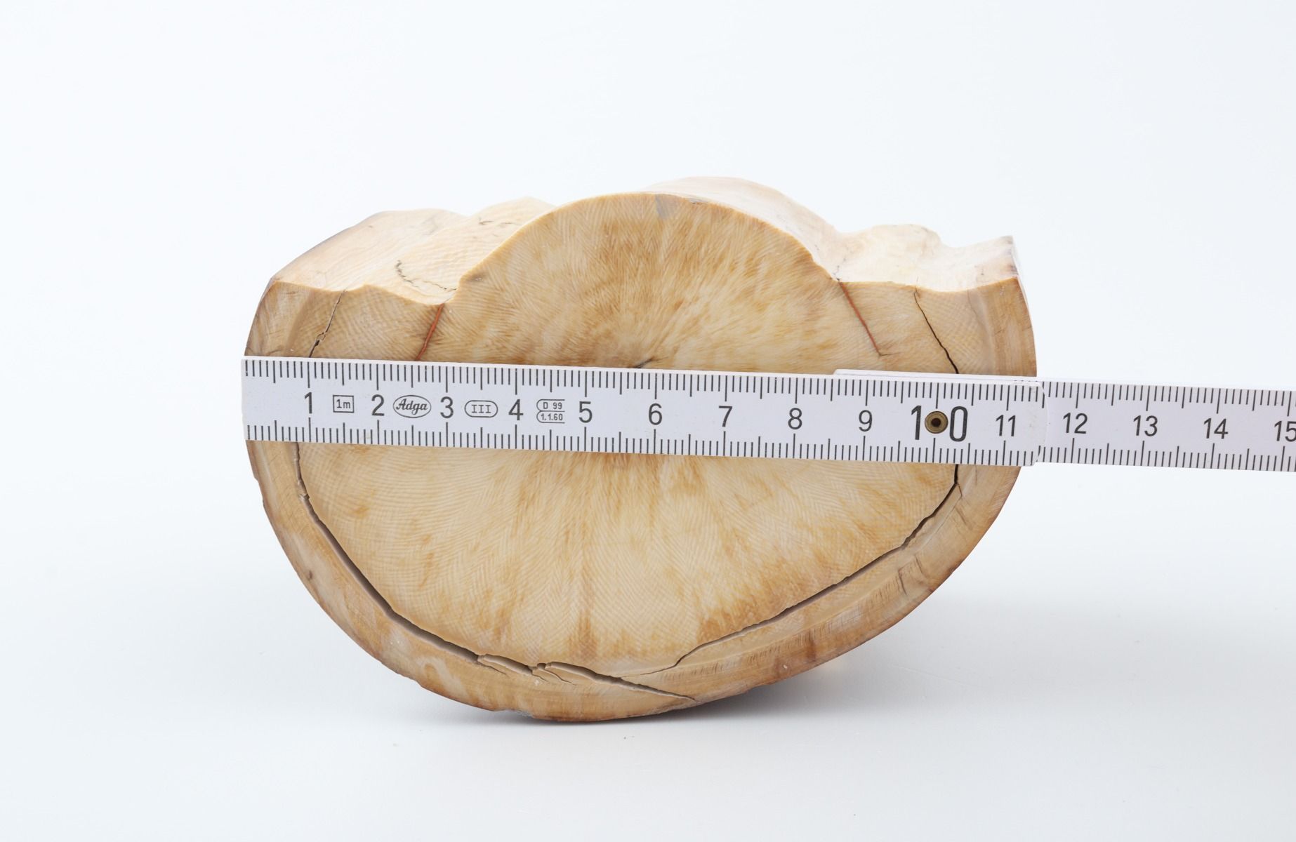 Natural mammoth ivory piece
