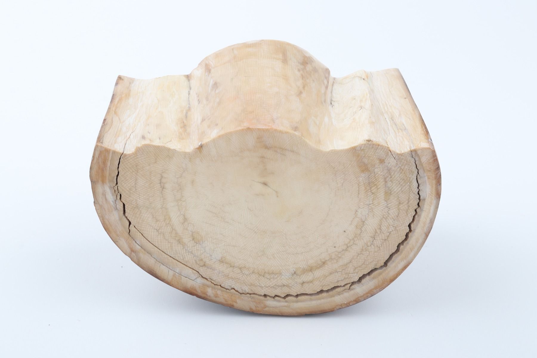 Natural mammoth ivory piece