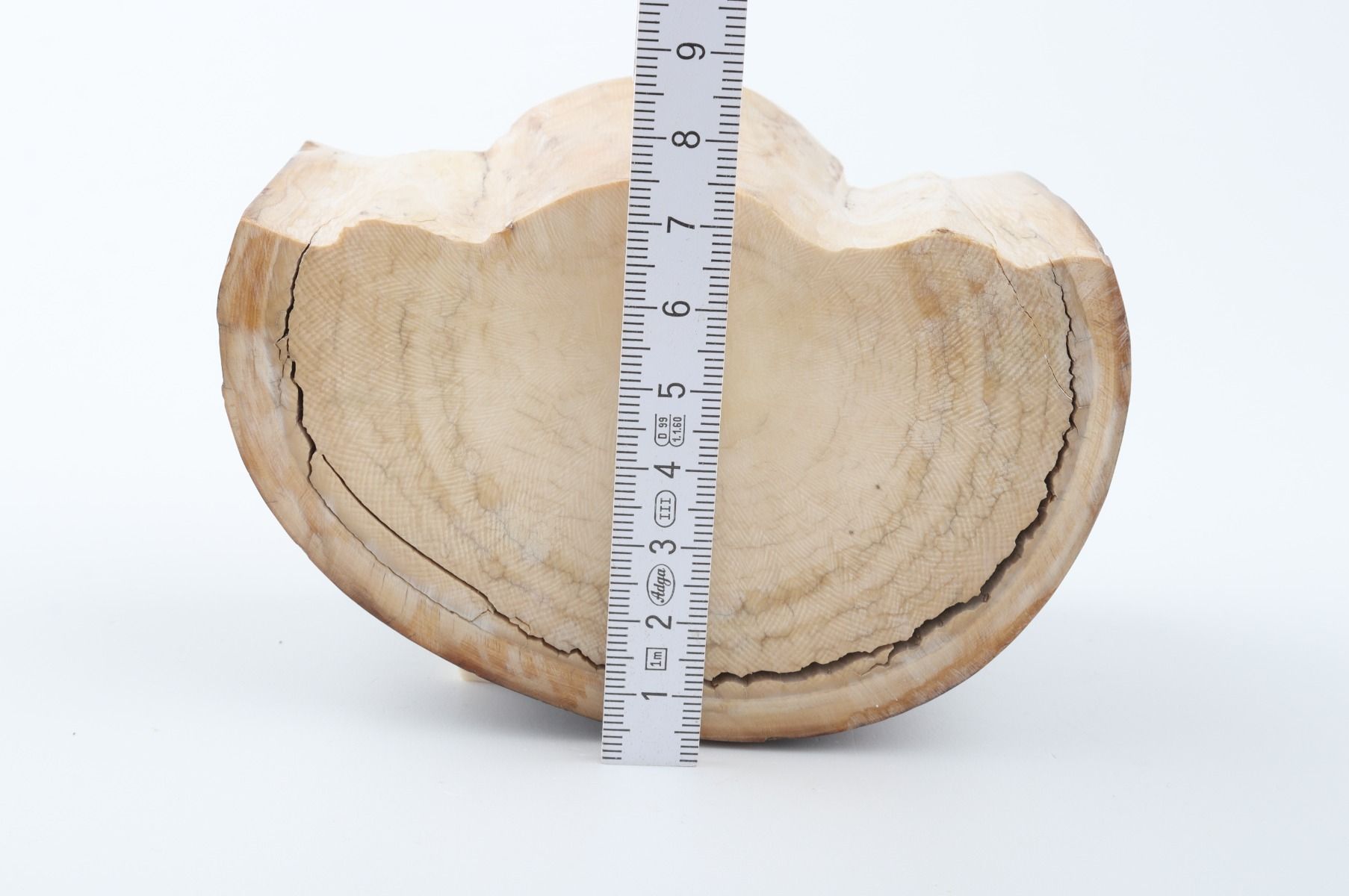 Natural mammoth ivory piece
