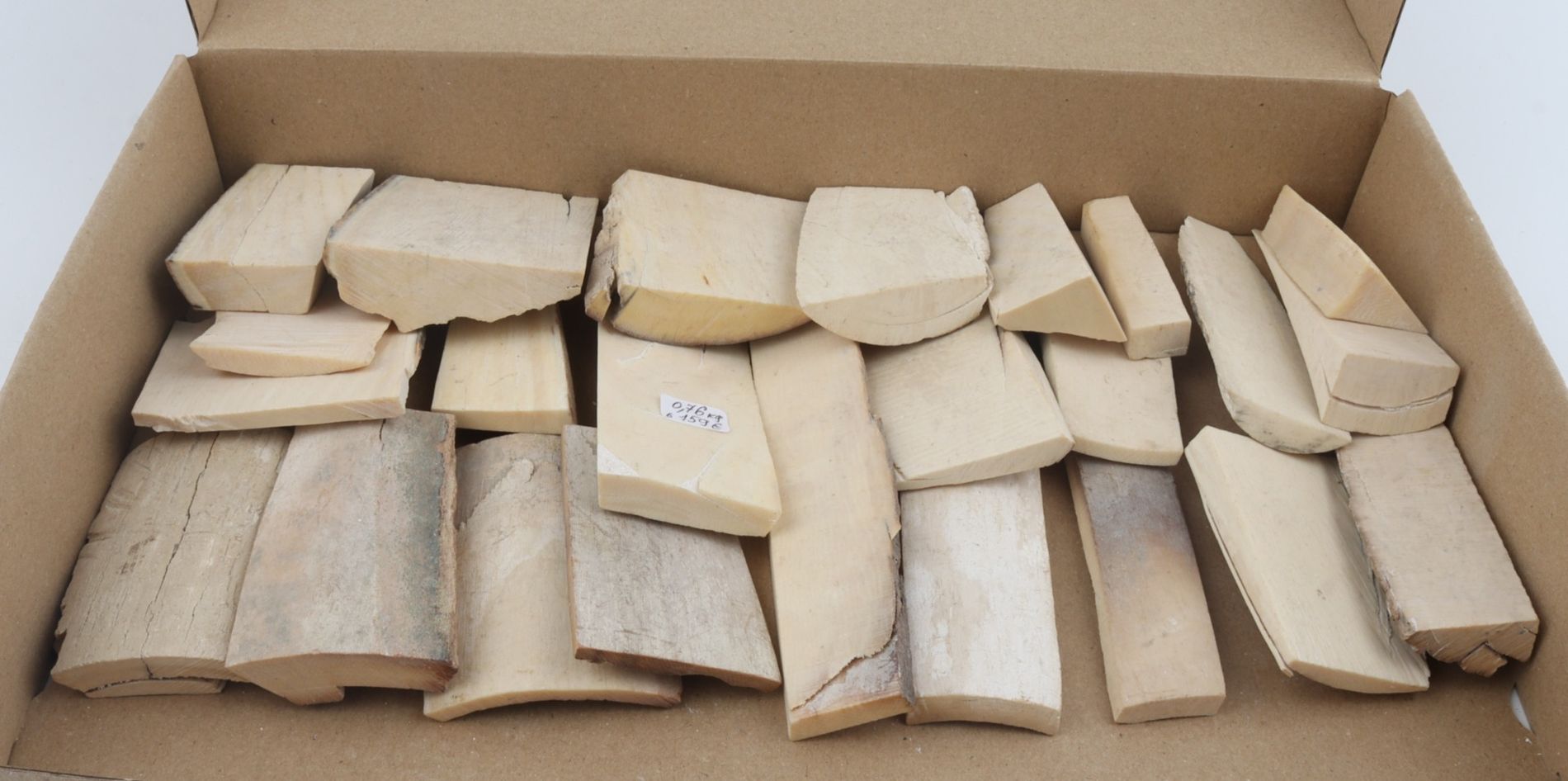 Raw mammoth ivory pieces